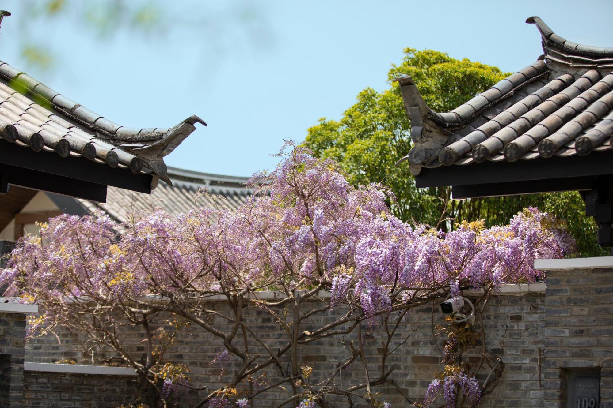 Hotel Banyan Tree Lijiang Lijiang  Zewnętrze zdjęcie